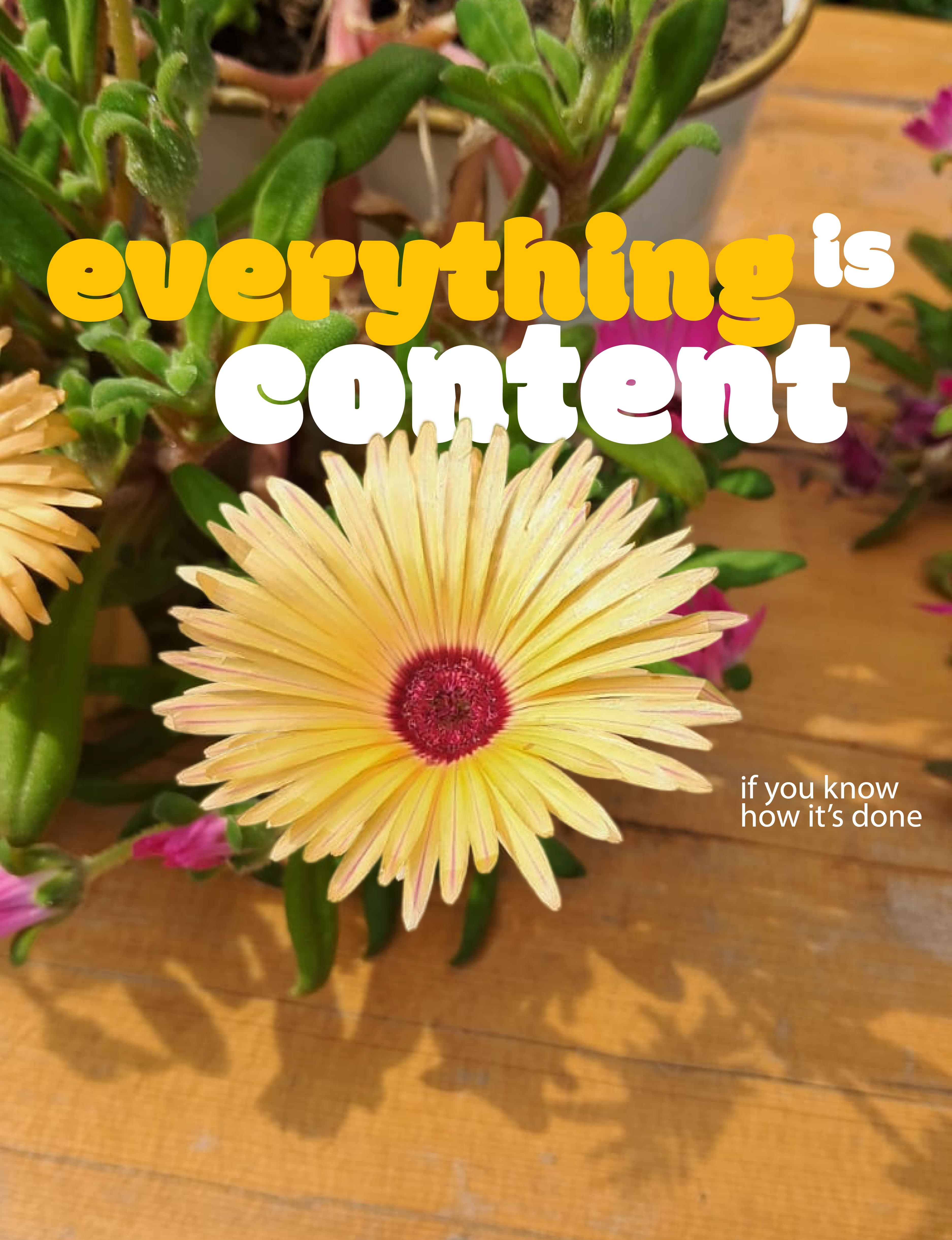 Everything Is Content Poster